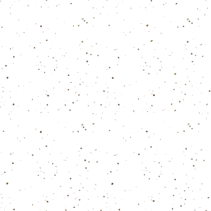 City Street Leaves Clutter - Monochrome (900x900), Png Download