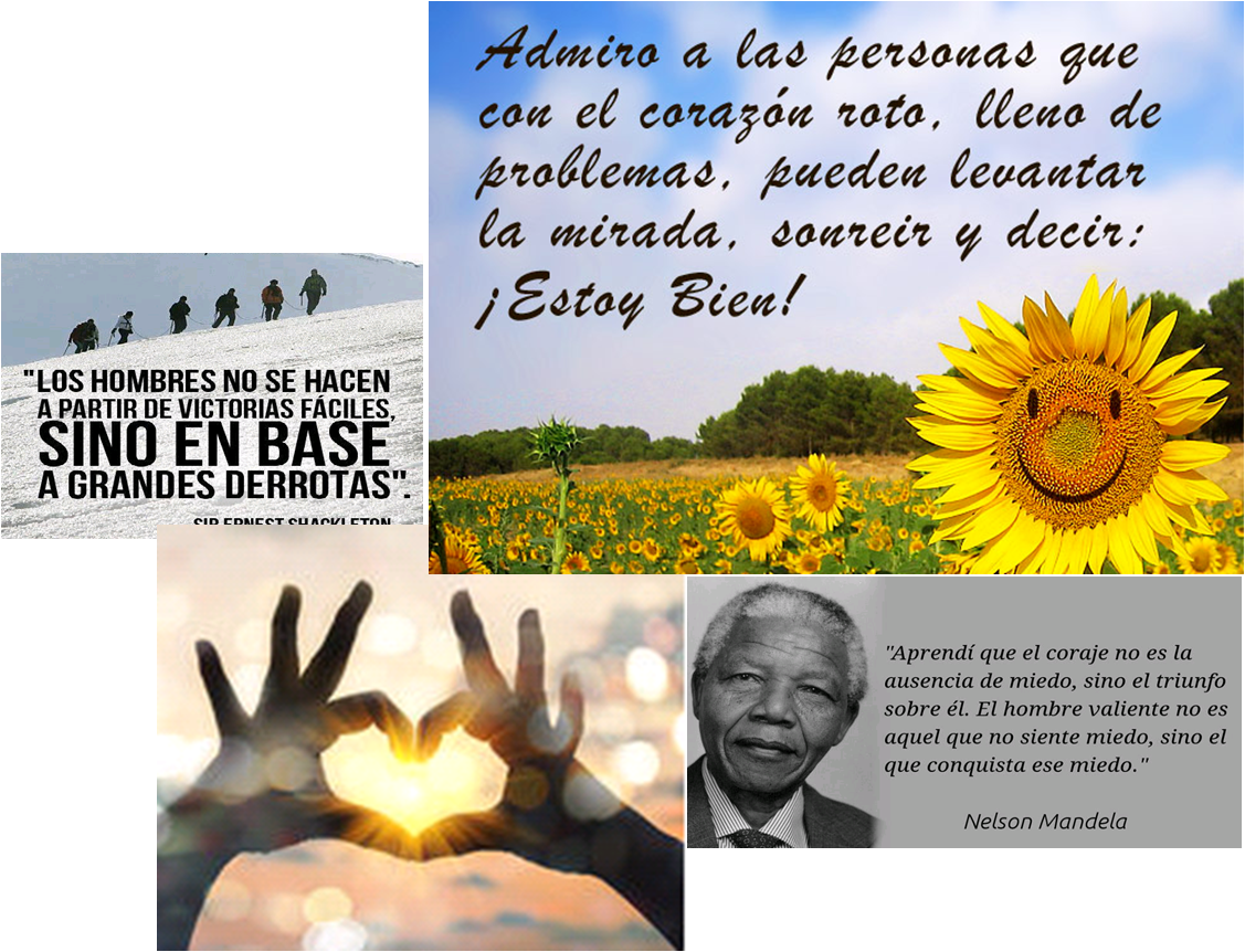 Hoy Comparto Con Todos Vosotros Estas Palabras Que - Sunflower (1127x862), Png Download