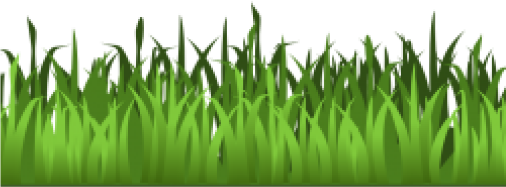 Green Grass Clip Art Meadow Green Grass Clipart Isolated - Transparent Background Grass Clipart (1024x1024), Png Download