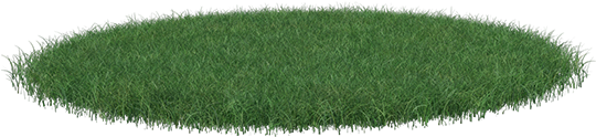 Lawn (600x600), Png Download