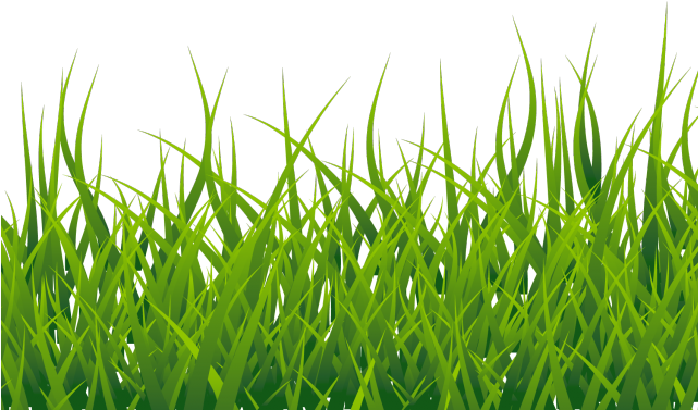 Ground Clipart Grass Patch - Grass Wallpaper White Background (640x480), Png Download