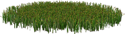 Grass Patch - Tree (600x600), Png Download