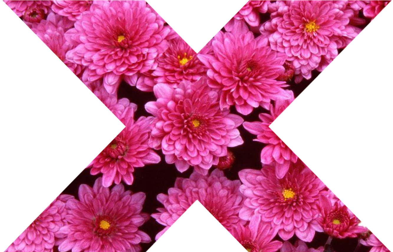 Girly Tumblr Transparent Flowers Gardening - Flowers (1368x855), Png Download