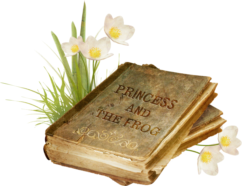 Thumb Image - Narcissus (800x614), Png Download
