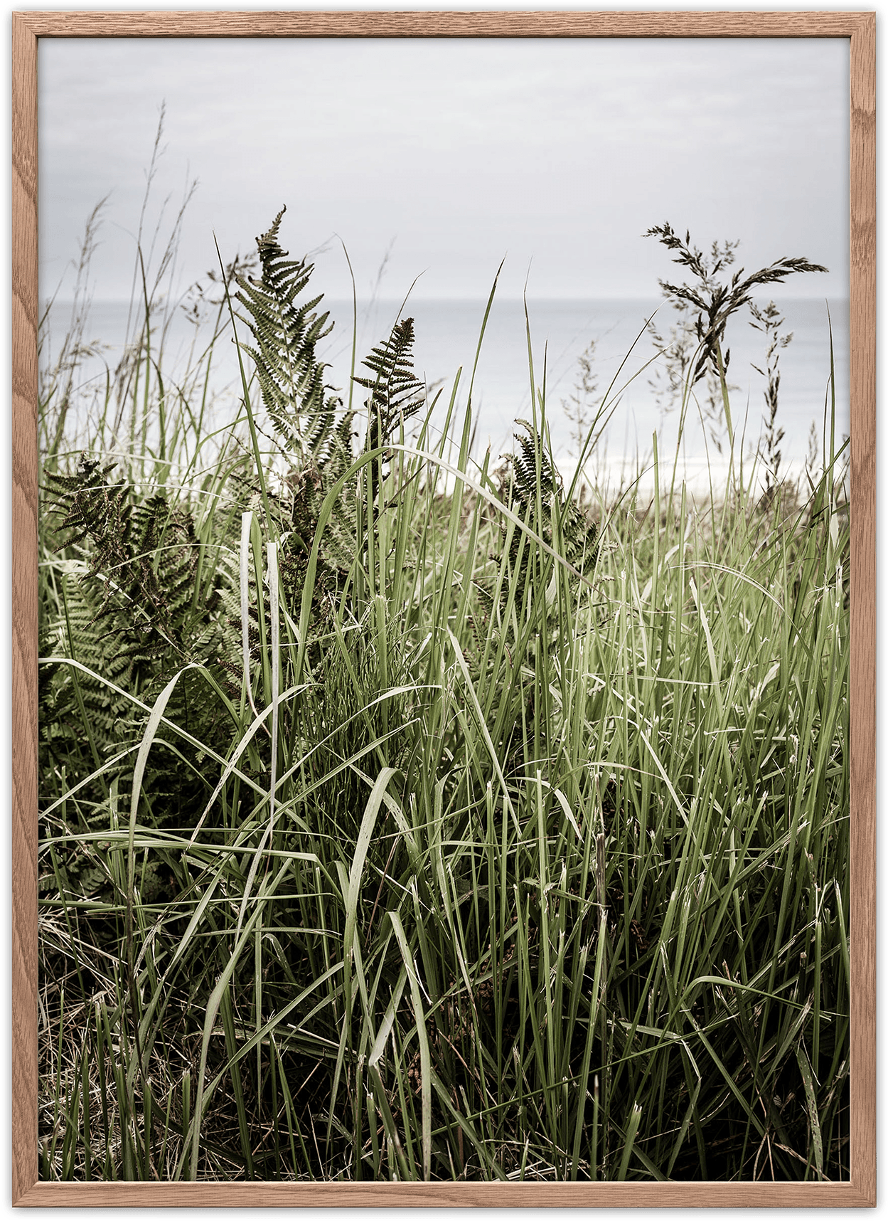 Svinkløv Poster - Sweet Grass (1750x1750), Png Download