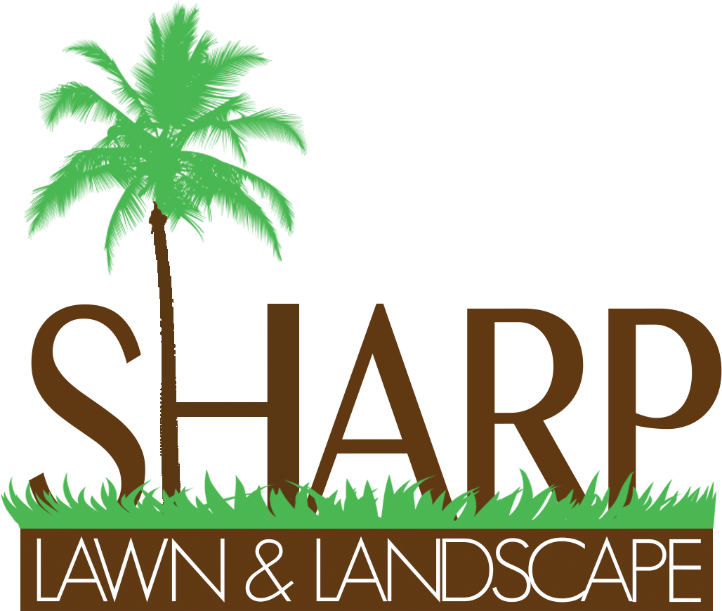 Sharp Lawn & Landscape - Attalea Speciosa (1293x1041), Png Download