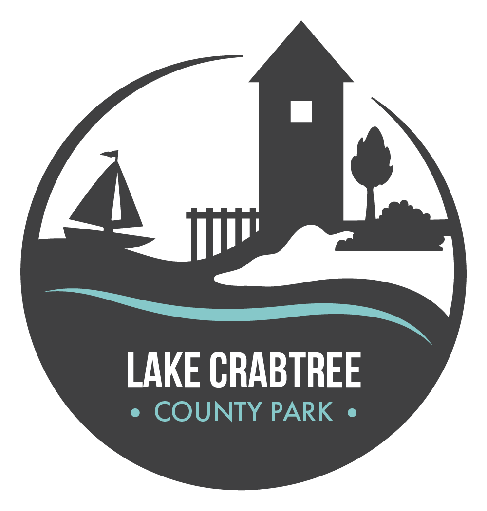 Lake Crabtree County Park - Illustration (1000x1051), Png Download