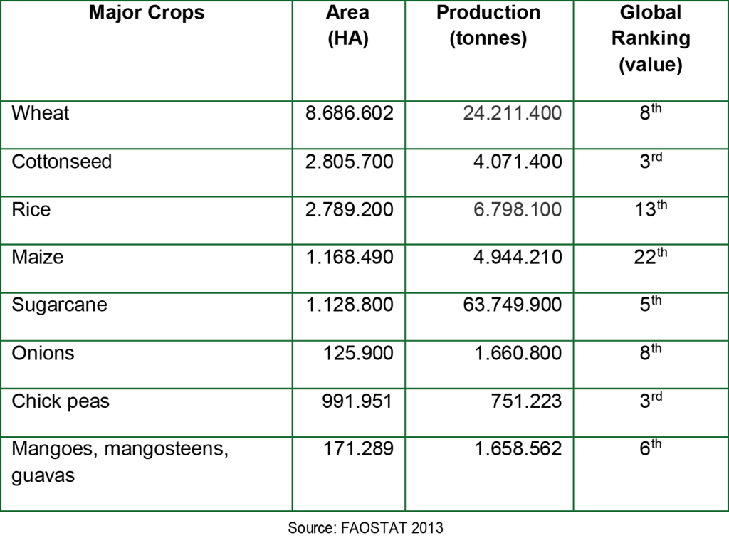 Key Agricultural Commodities Of Pakistan And Their - Number (1024x756), Png Download