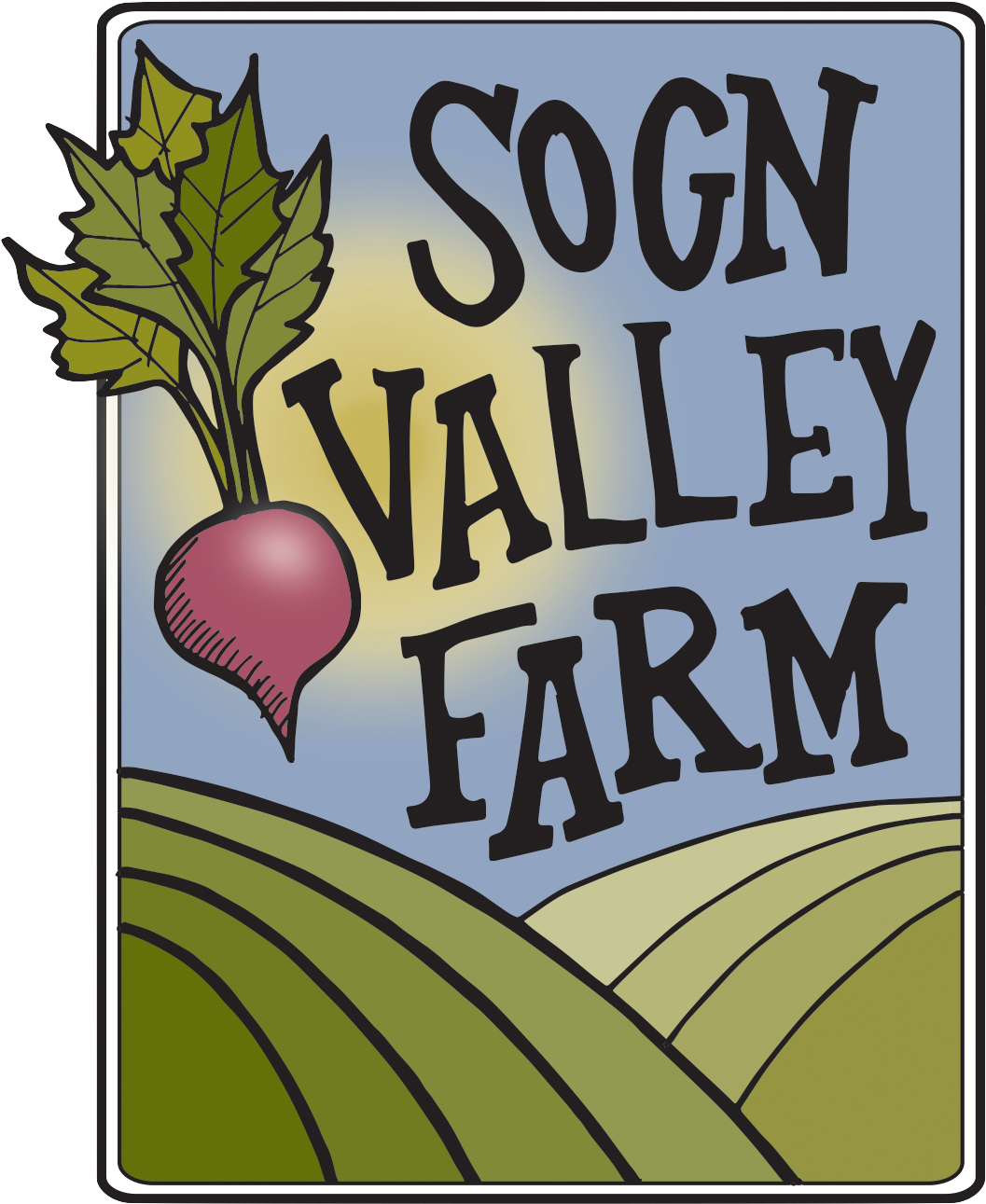 Sogn Valley Farm - Turnip (1200x1407), Png Download