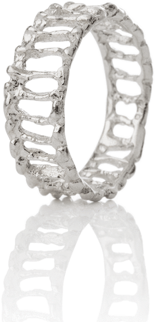 Asterias Ring - Bracelet (900x900), Png Download