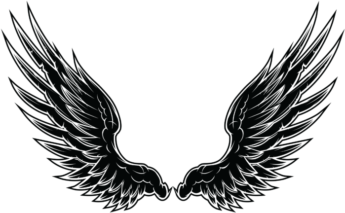 Vector Wings (715x715), Png Download