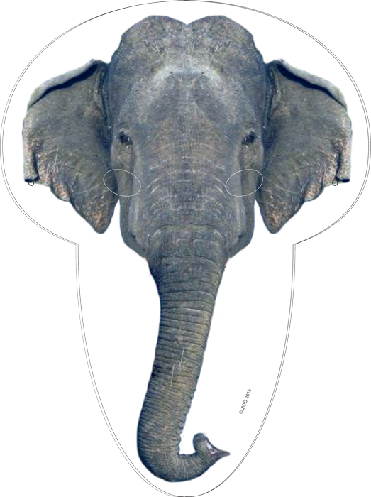 Ief Mask2 2015 - Indian Elephant (523x700), Png Download