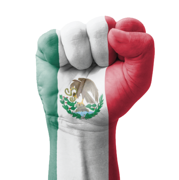 This Is Mexico Mexico - Nigeria Fist (600x600), Png Download