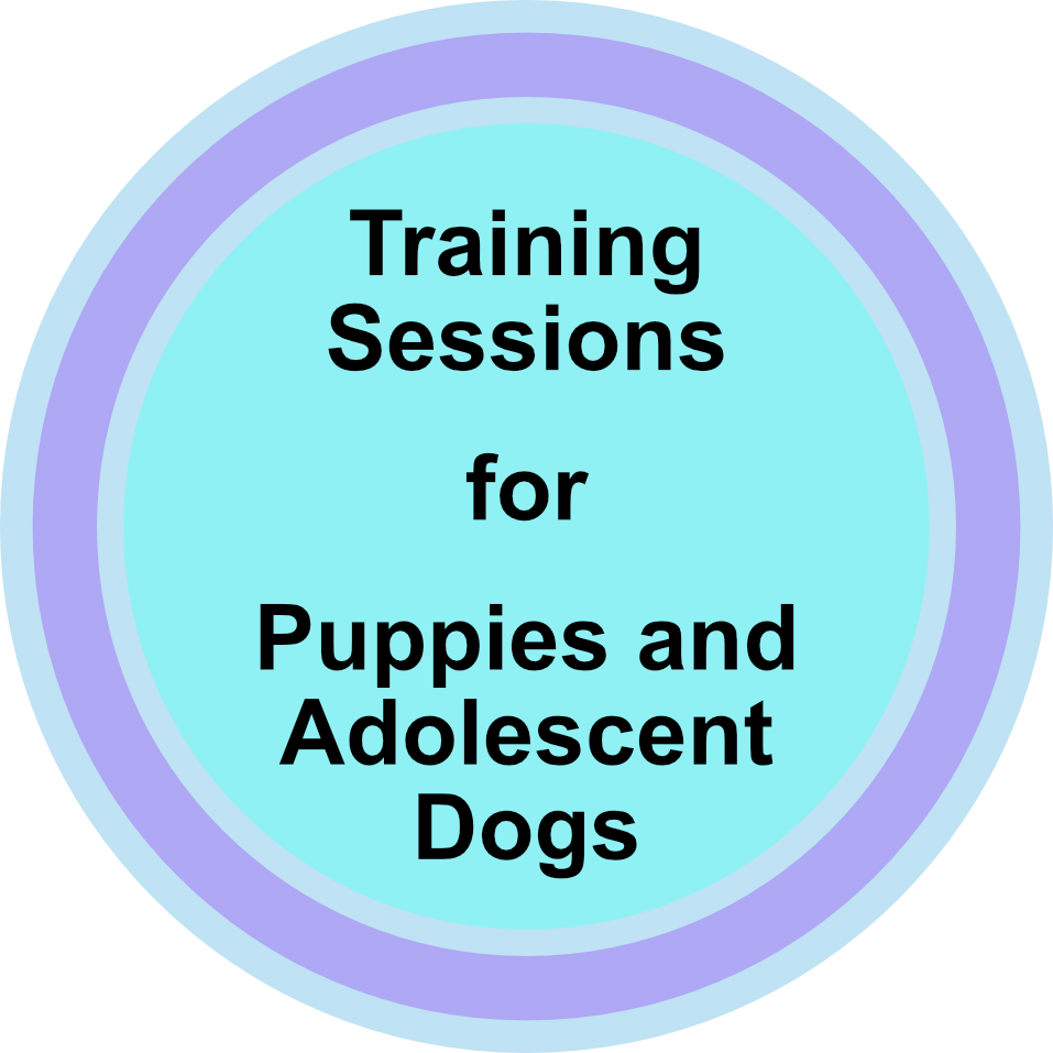 Training For Puppies And Adolescent Dogs - Lico Leasing (957x957), Png Download