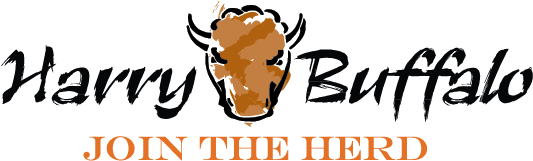Harry Buffalo (576x576), Png Download