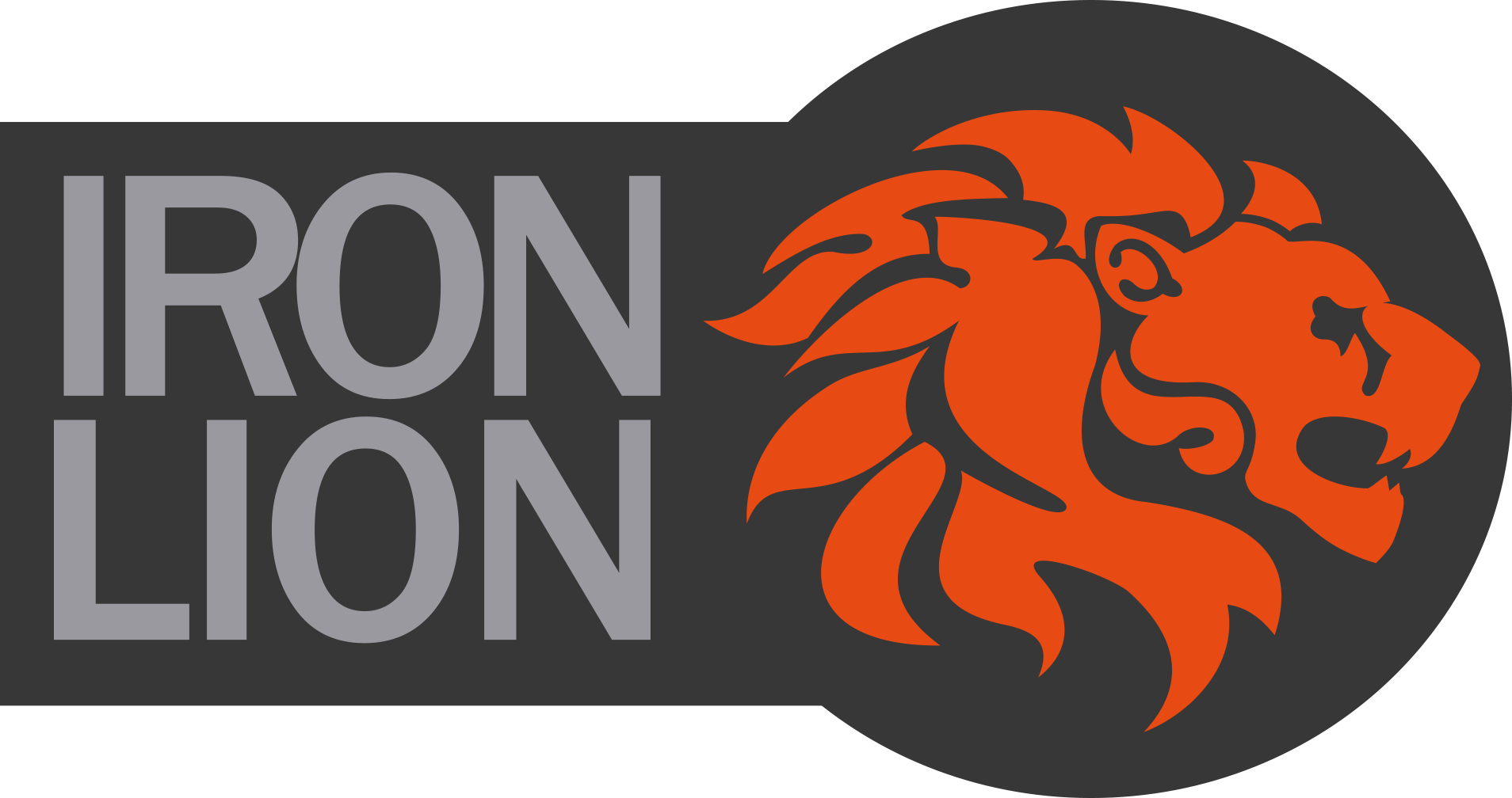 Logotipo Oficial De Iron Lion 4977 - Ville De Saint Etienne (1908x1008), Png Download