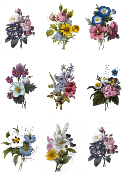 Free Png Download Colorful Flowers Tattoo Designs Png - Colorful Flowers Tattoo Designs (480x688), Png Download