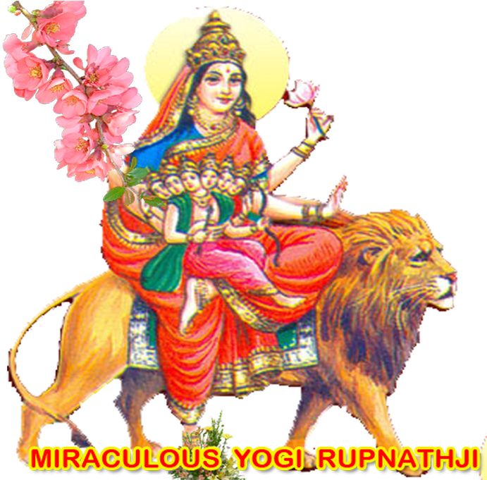 Worlds No 1 Vastu Expert - Flower (720x680), Png Download