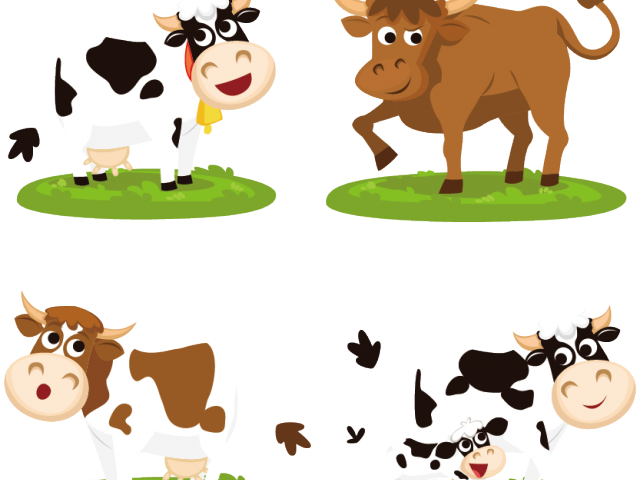 Beef Clipart Indian Cow - وکتور گاو (640x480), Png Download