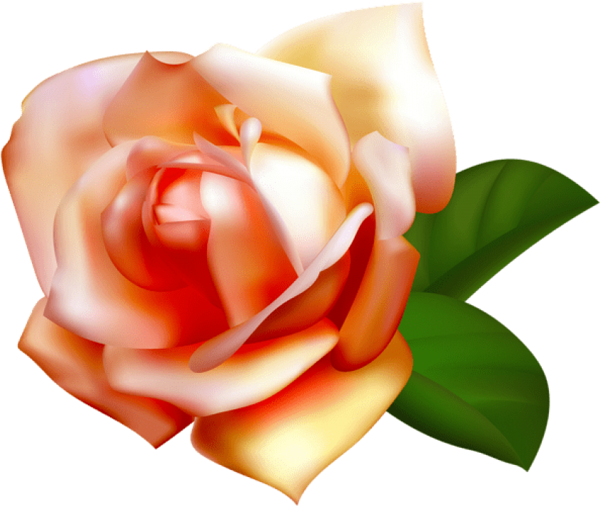 Free Png Download Beautiful Rose Png Images Background - Rosas Amarillas Png Sin Fondo (850x716), Png Download