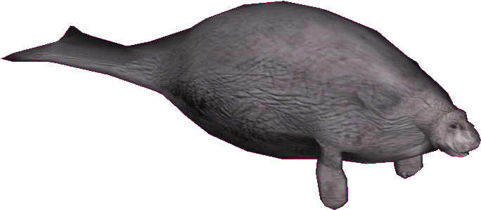 Ossc - Humpback Whale (683x683), Png Download