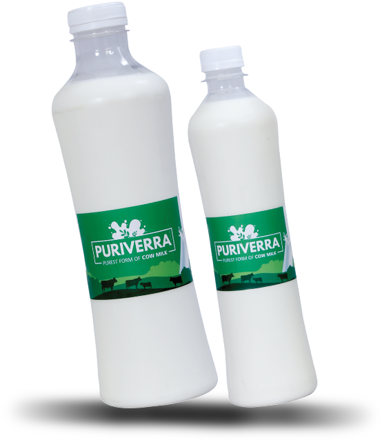 Cow Milk - Plastic Bottle (612x730), Png Download