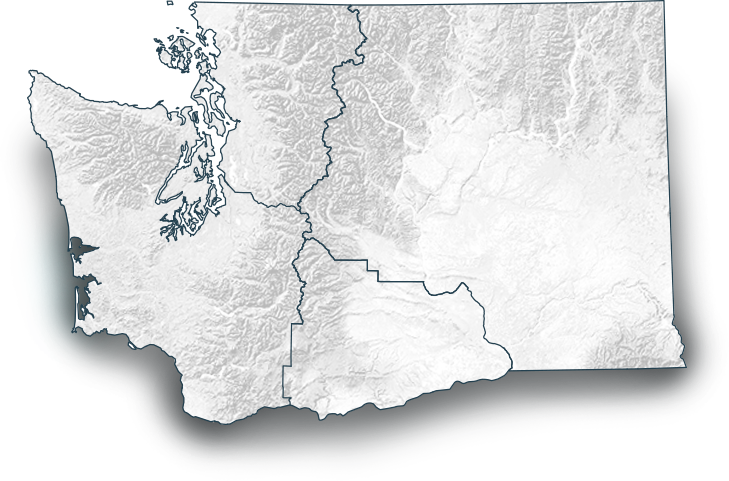 Cows Gotta Keep Their Cool - Washington State Outline With Tree (729x481), Png Download