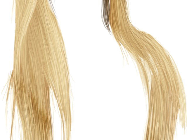 Photoshop Clipart Hair - Blond (640x480), Png Download