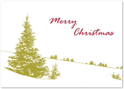 Tree In Show Holiday Greeting Card - Christmas Tree (570x760), Png Download