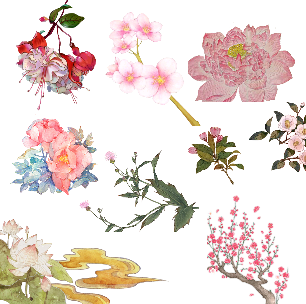 梅花菊花荷花 - Garden Roses (1000x1000), Png Download