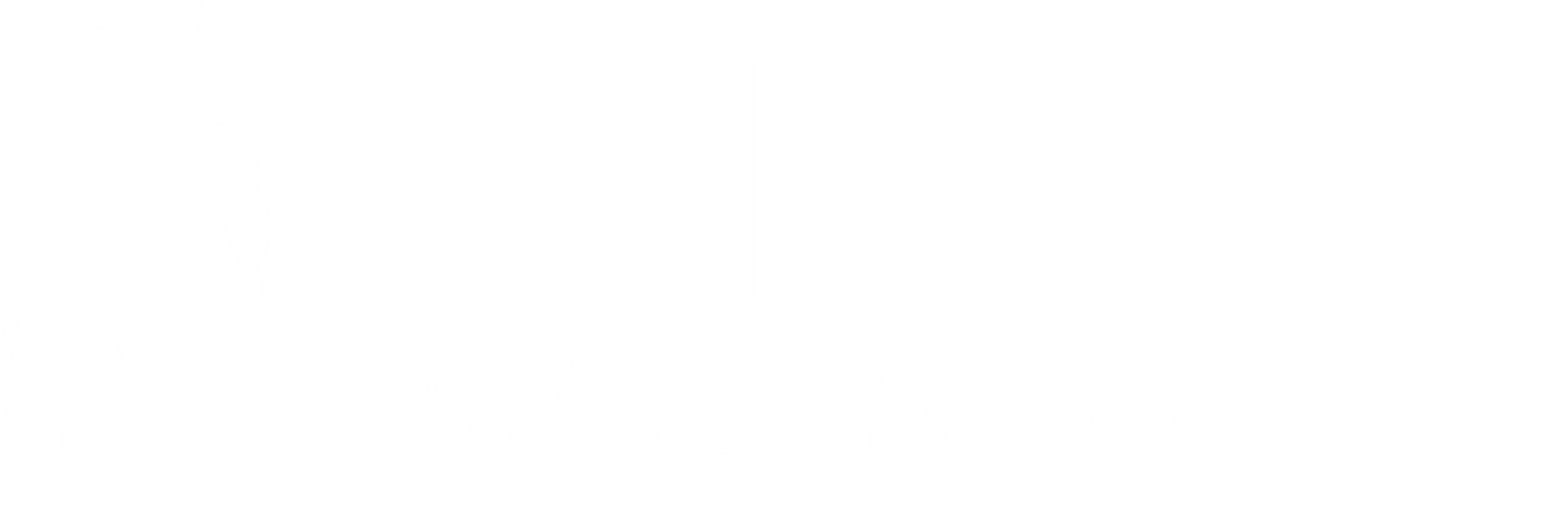 Stylo Salon & Makeover Studio Stylo Logo - Making My Dreams A Reality: Blank Lined Journal - 6x9 (2789x912), Png Download