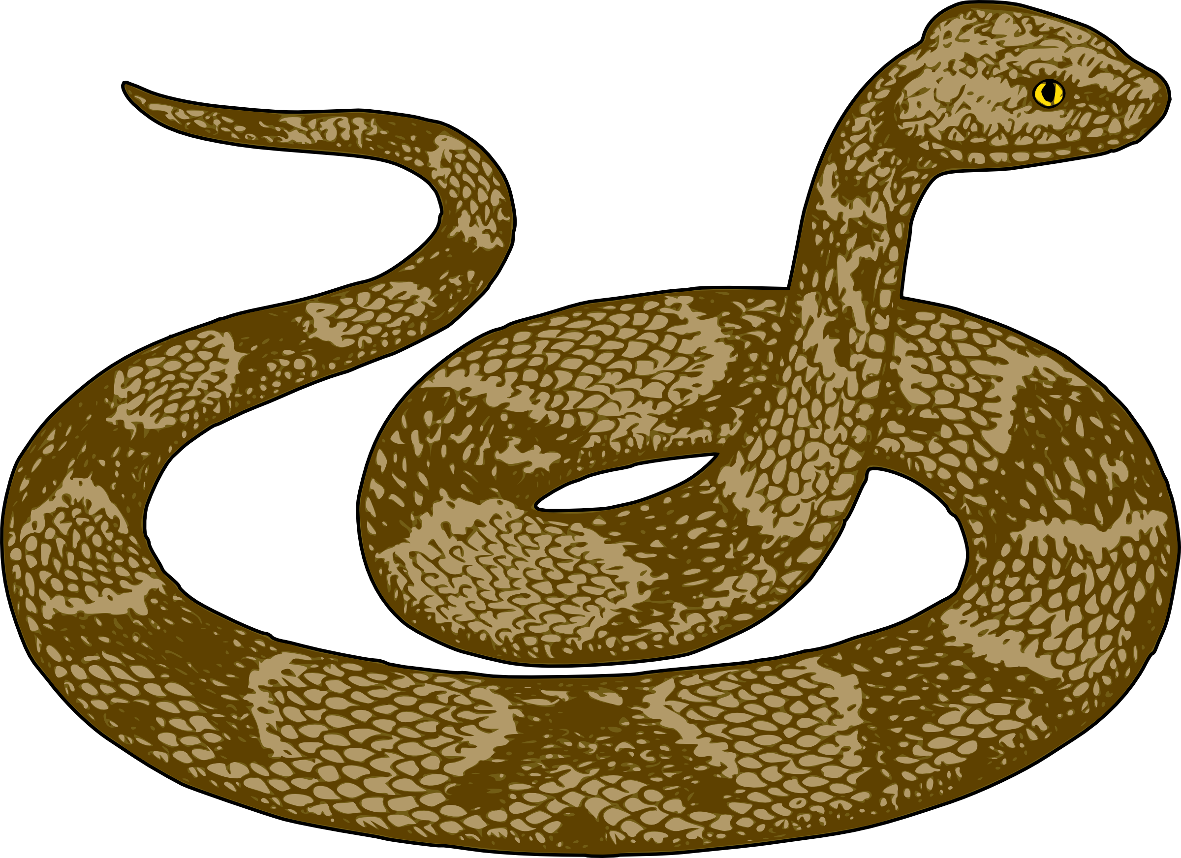 Transparent Snake Top - Snake Clipart (2400x1744), Png Download