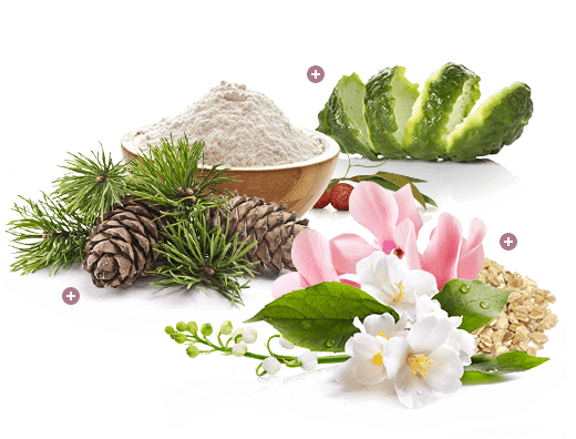 Creating The Perfect Fragrance - Bella Mystique (520x396), Png Download