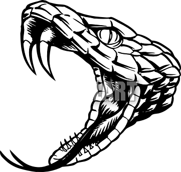 Snake Skeleton Png Svg Library Download - Rattlesnake Black And White (361x342), Png Download