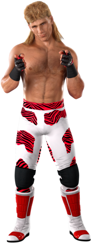 Shawn Michaels Rings Sports Png Png Images - Shawn Michaels Svr 2011 (400x799), Png Download