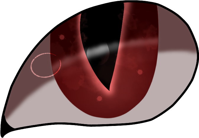 Circle (974x768), Png Download