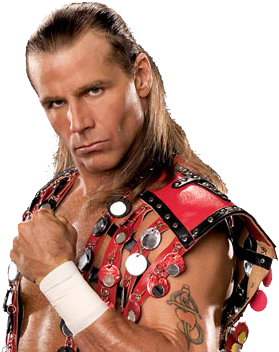 Shawn Michaels Transparent - Pokemon Best Cards Ex (456x352), Png Download