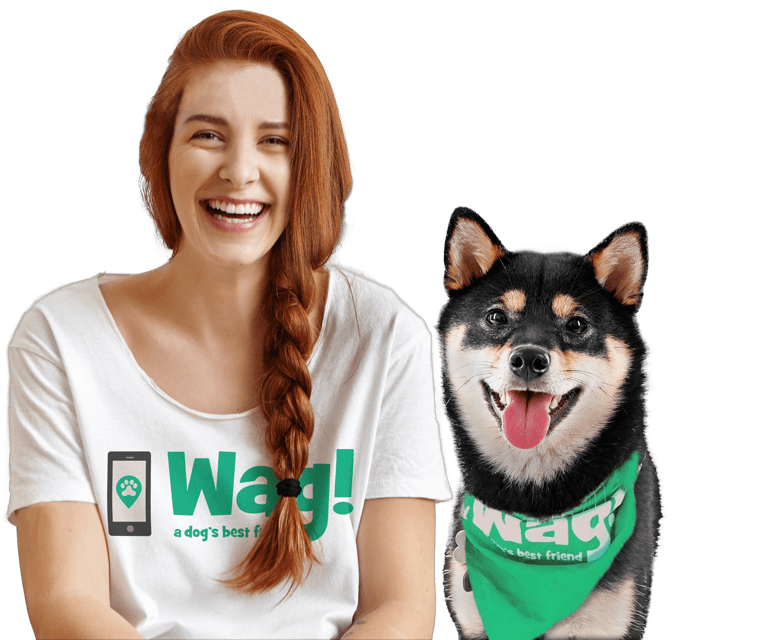 Wag Dog Walking (800x660), Png Download