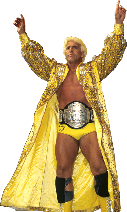 Ric Flair - Wcw Champion Ric Flair (419x701), Png Download