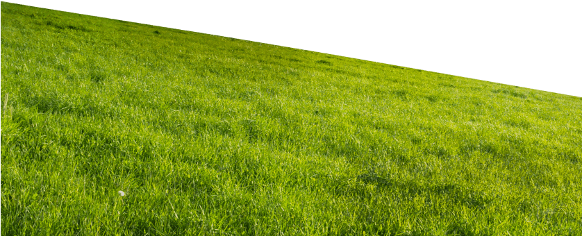 Scroll Down - Grassland (837x402), Png Download