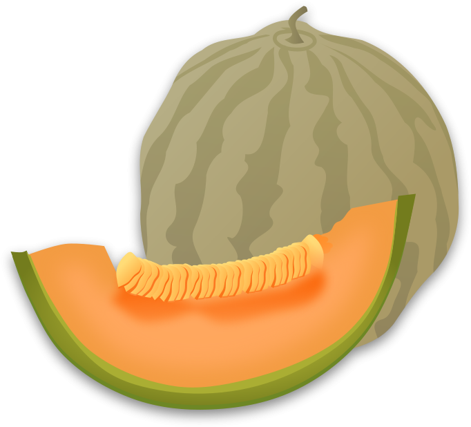 Free Vector Musk Melon - Clipart Melon (800x785), Png Download