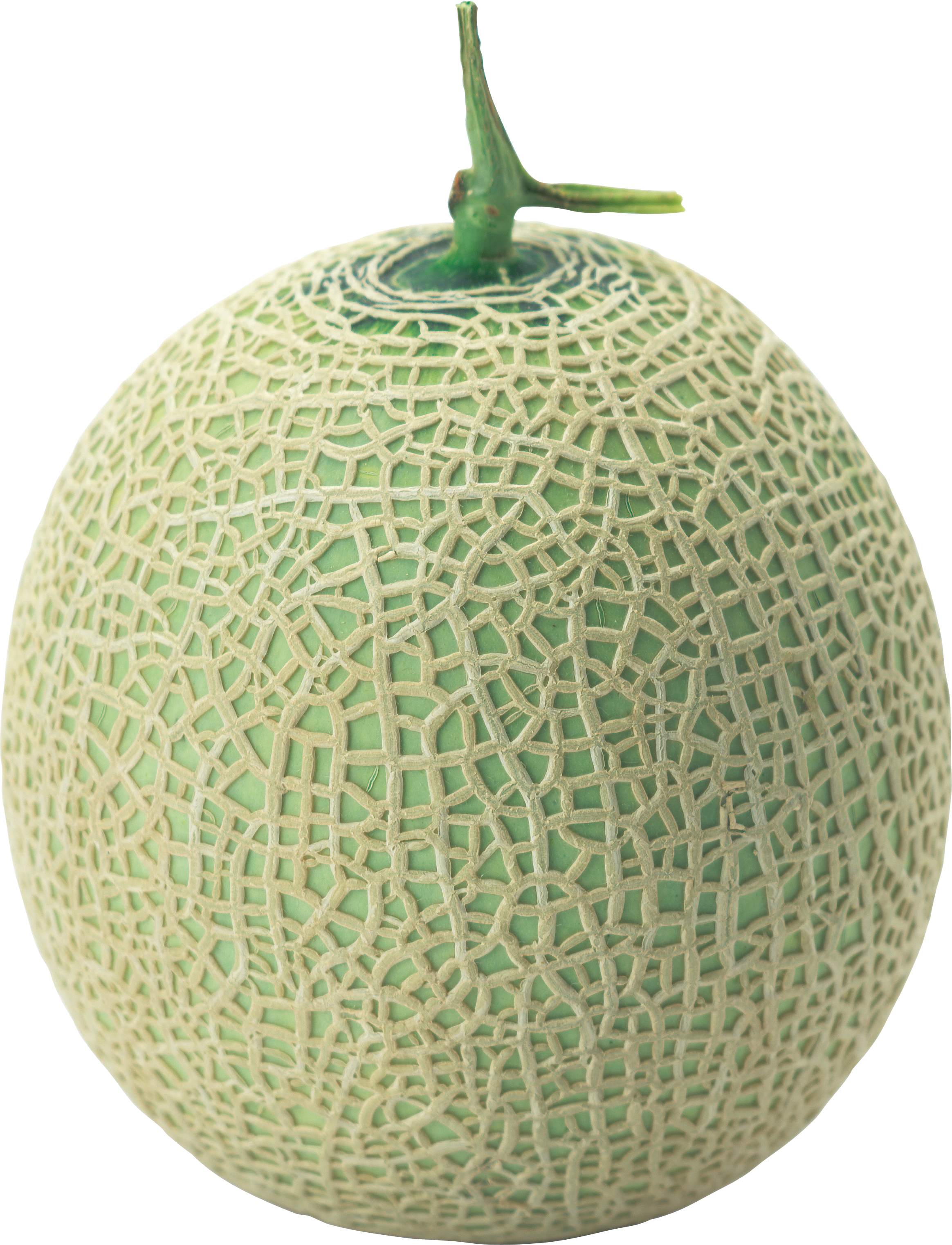 Melon Png (2328x3043), Png Download
