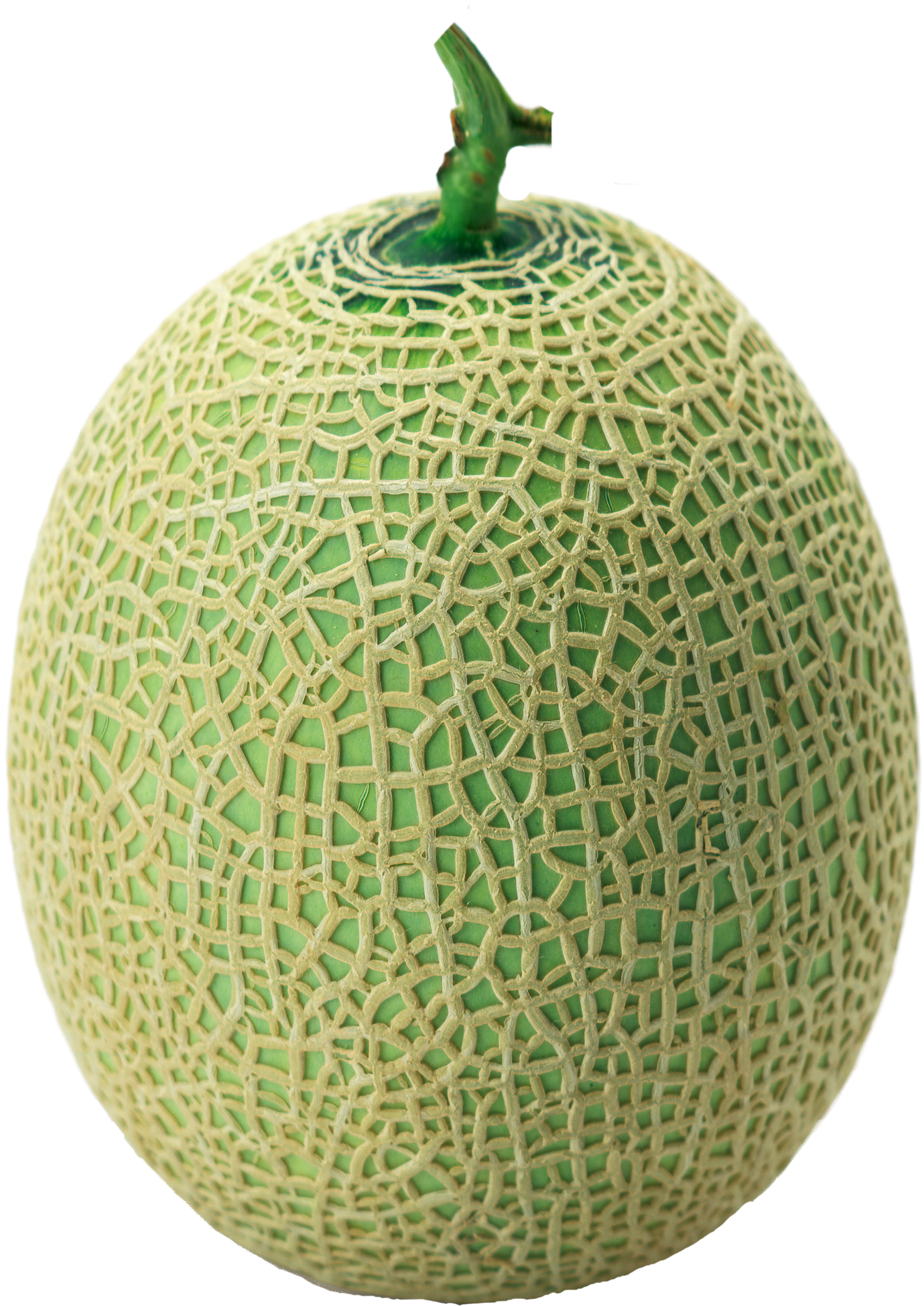 Melon Green - Melon Fruit Png (1610x2270), Png Download