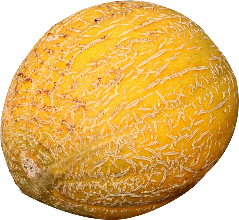 Cantaloupe Melon Png Image - Cantaloupe (1000x931), Png Download