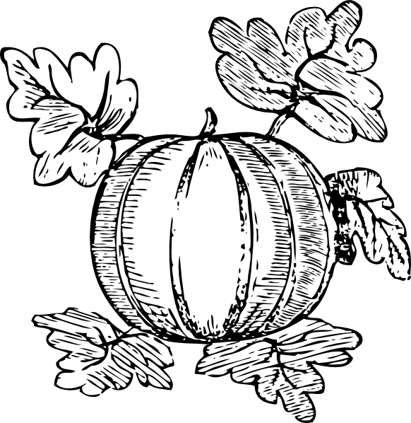 Free Vector Melon Clip Art - Pumpkin Clip Art Free (582x598), Png Download