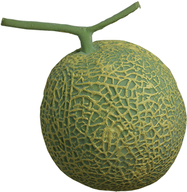Today, When You Order "production Melon From Box Set - Honeydew (400x400), Png Download