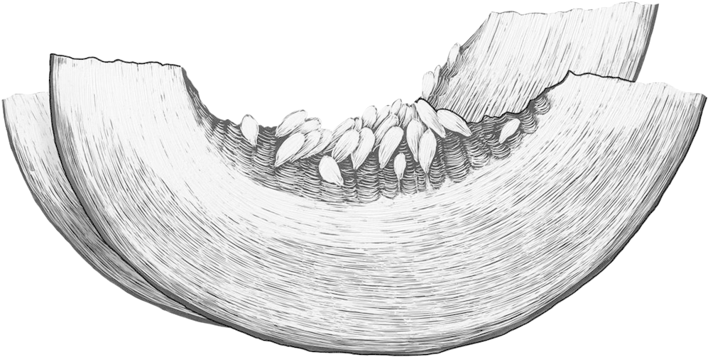 Cantaloupe - Portable Network Graphics (1000x643), Png Download