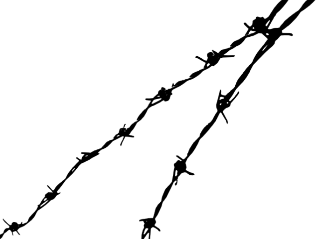 Barb Wire Clipart Transparent Background - Basic Human Rights: A New Narrative (640x480), Png Download