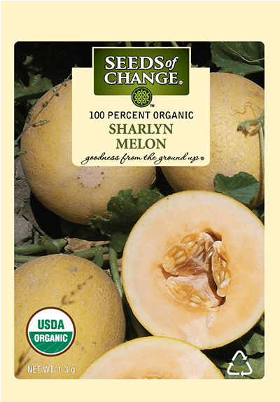 Organic Sharlyn Melon Seeds - Seeds Of Change (573x573), Png Download