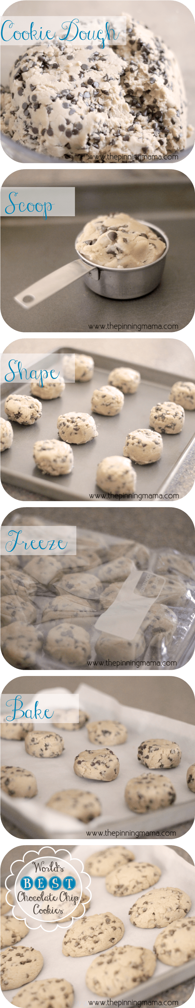 {copycat} Panera Chewy Chocolate Chip Cookies By Www - Cup (692x3400), Png Download